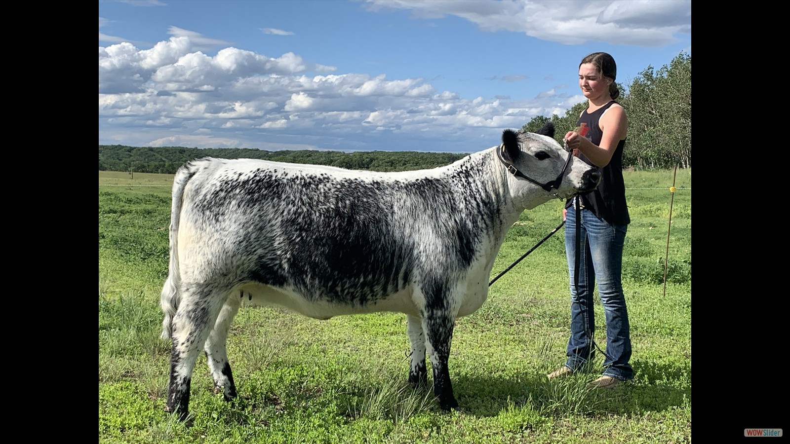 112 - Anja Van de Langemheen2