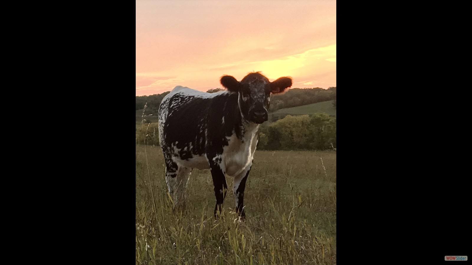 112 - Anja Van de Langemheen - SR