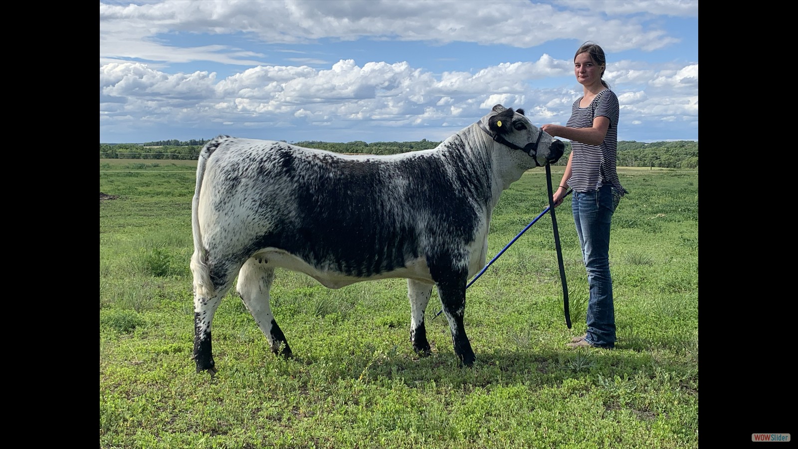 113 - Mona Van de Langemheen