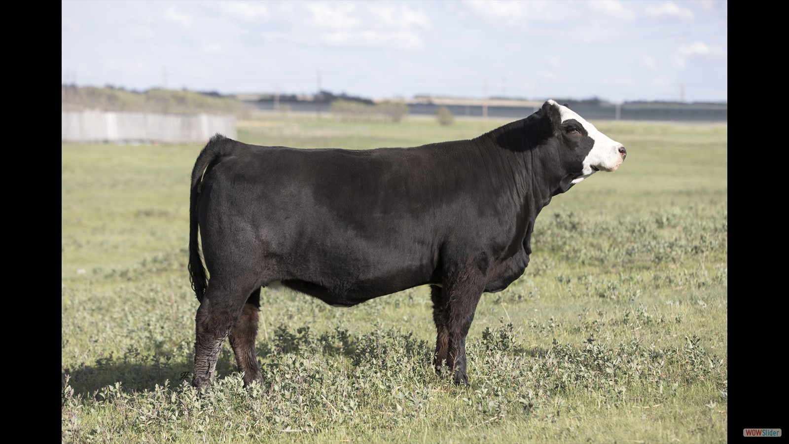 114B - Rayel Kaczmar