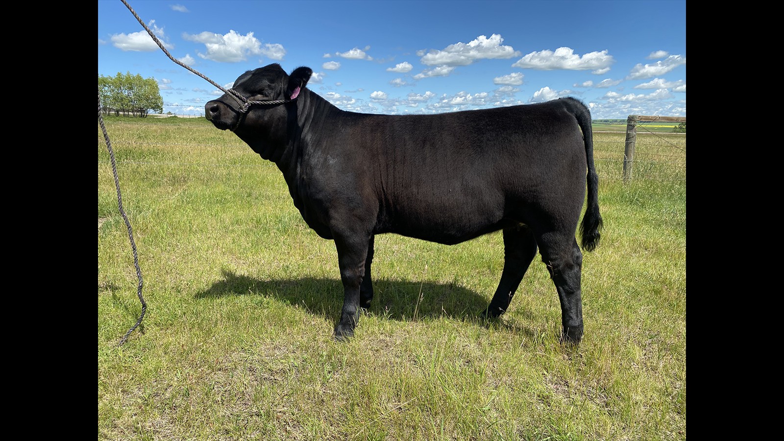 11A - Jacey Massey - PB HF