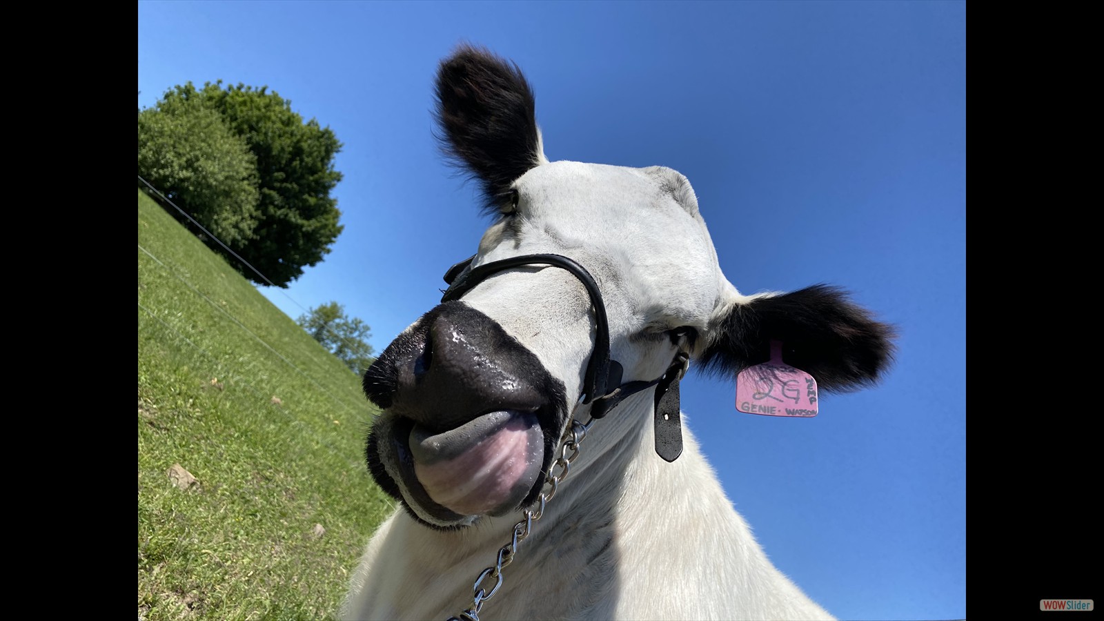 123 - Sydnee Stewart - SR