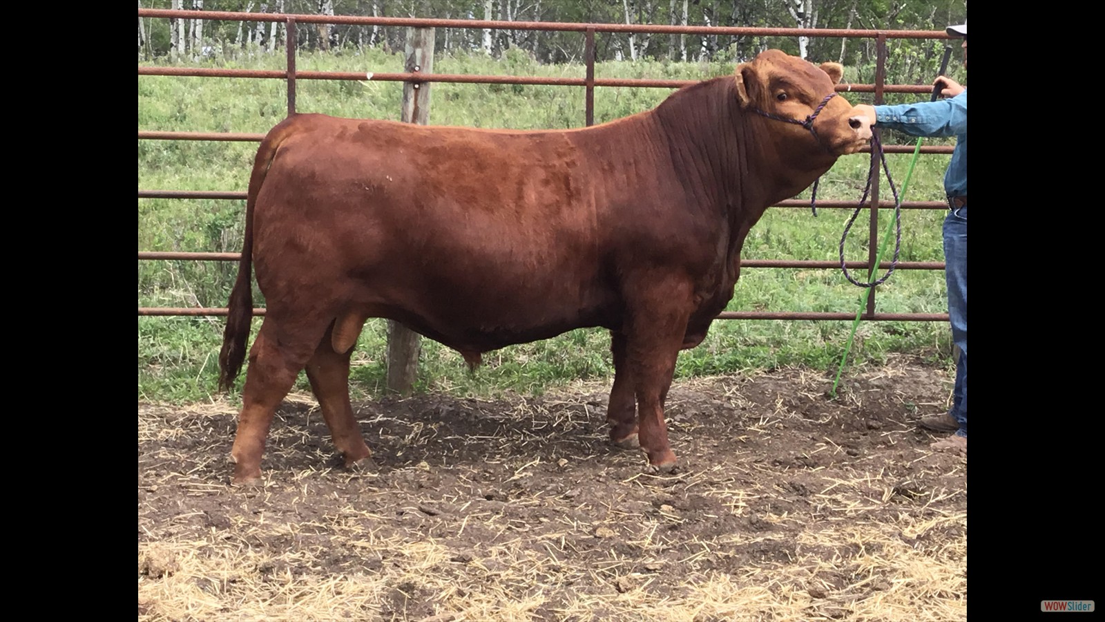 jquery carousel slider