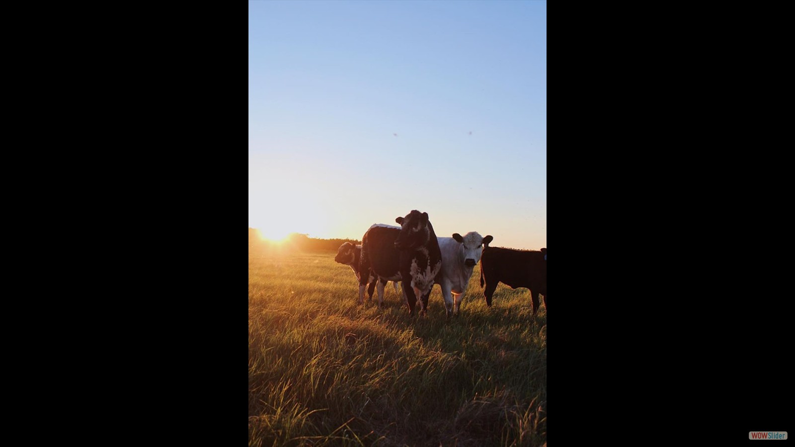 124 - Makenzie Olson - SR