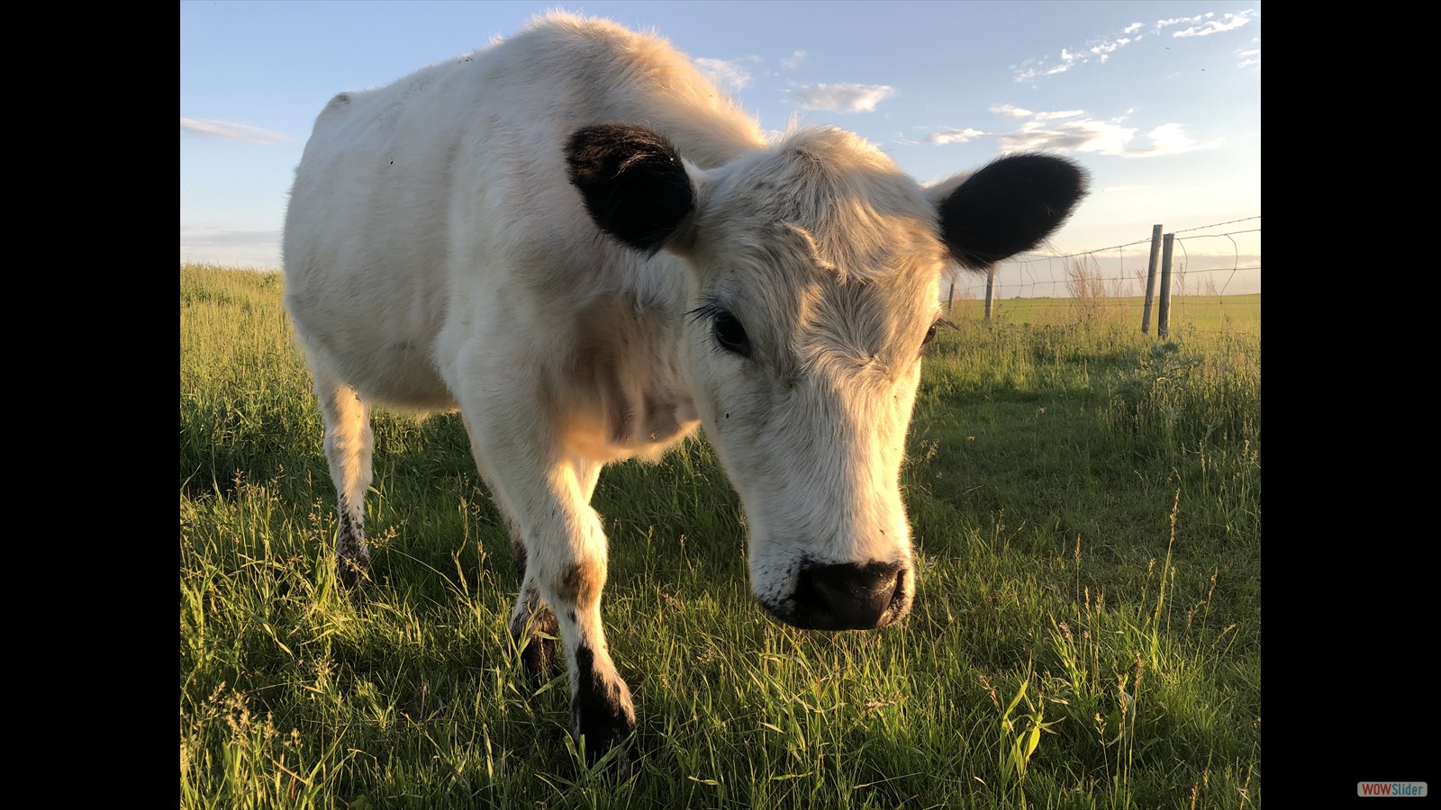 125 - Sara Sloat - SR