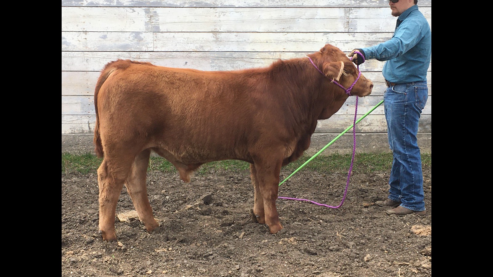 125H - Wyatt Millar 2