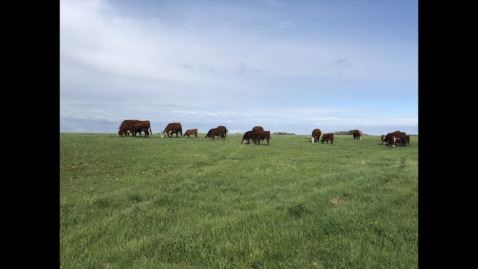 1-26 - Kenzie Airriess