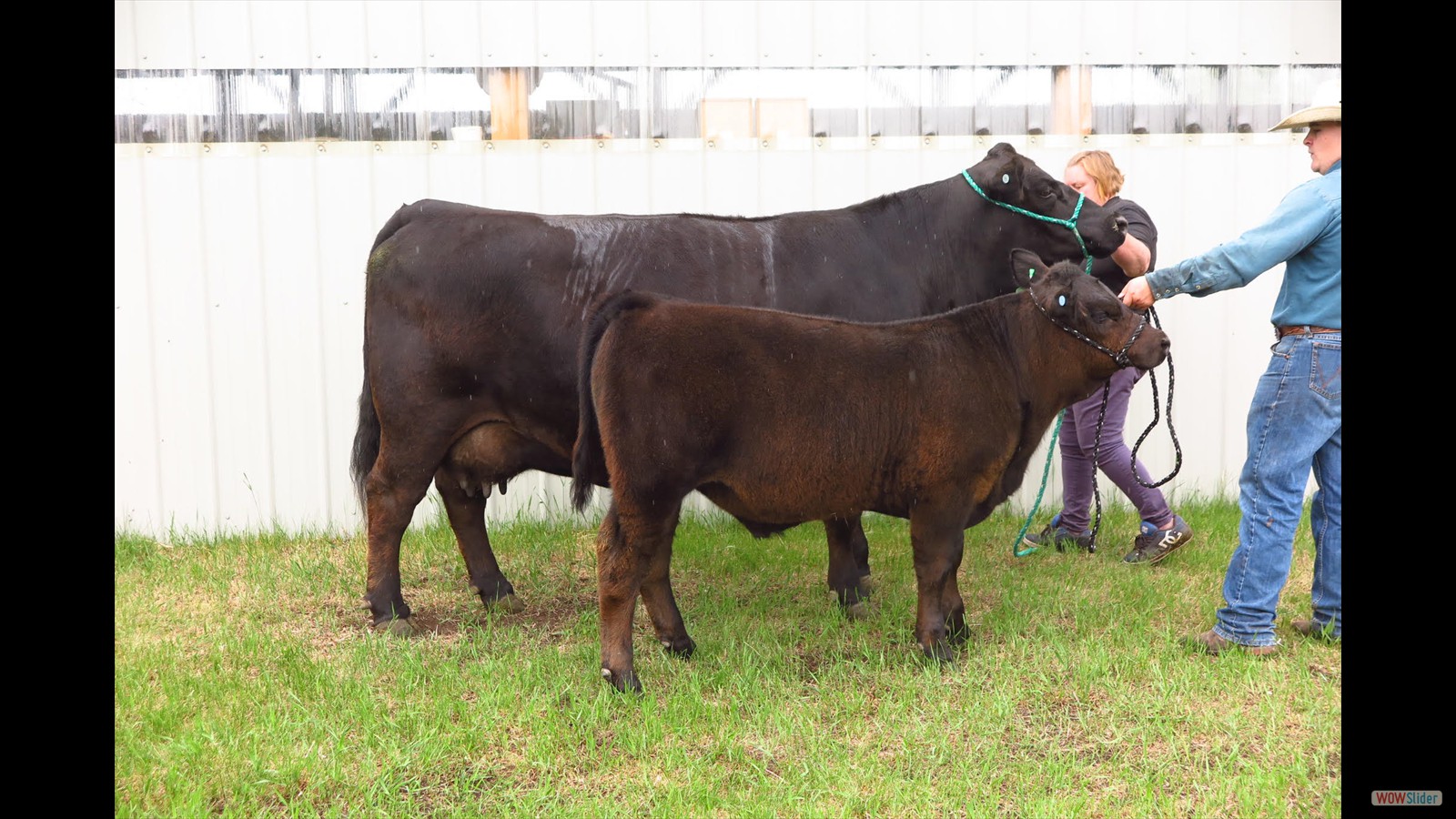 126K - Wyatt Millar pair