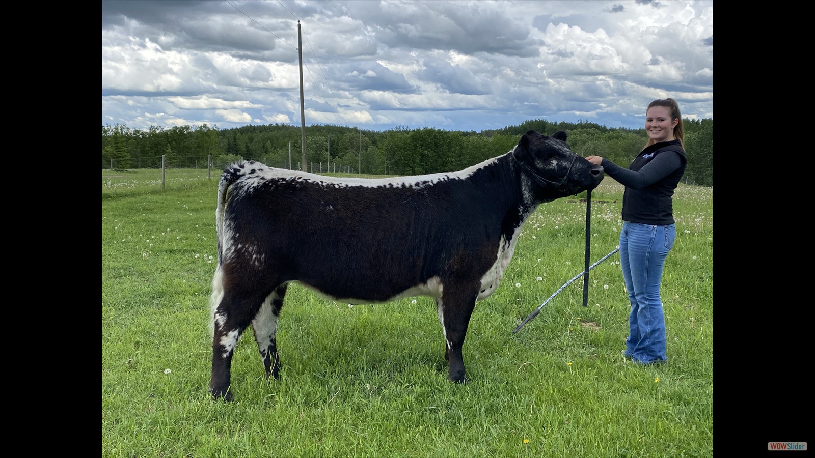 128 - Jayden Calvert