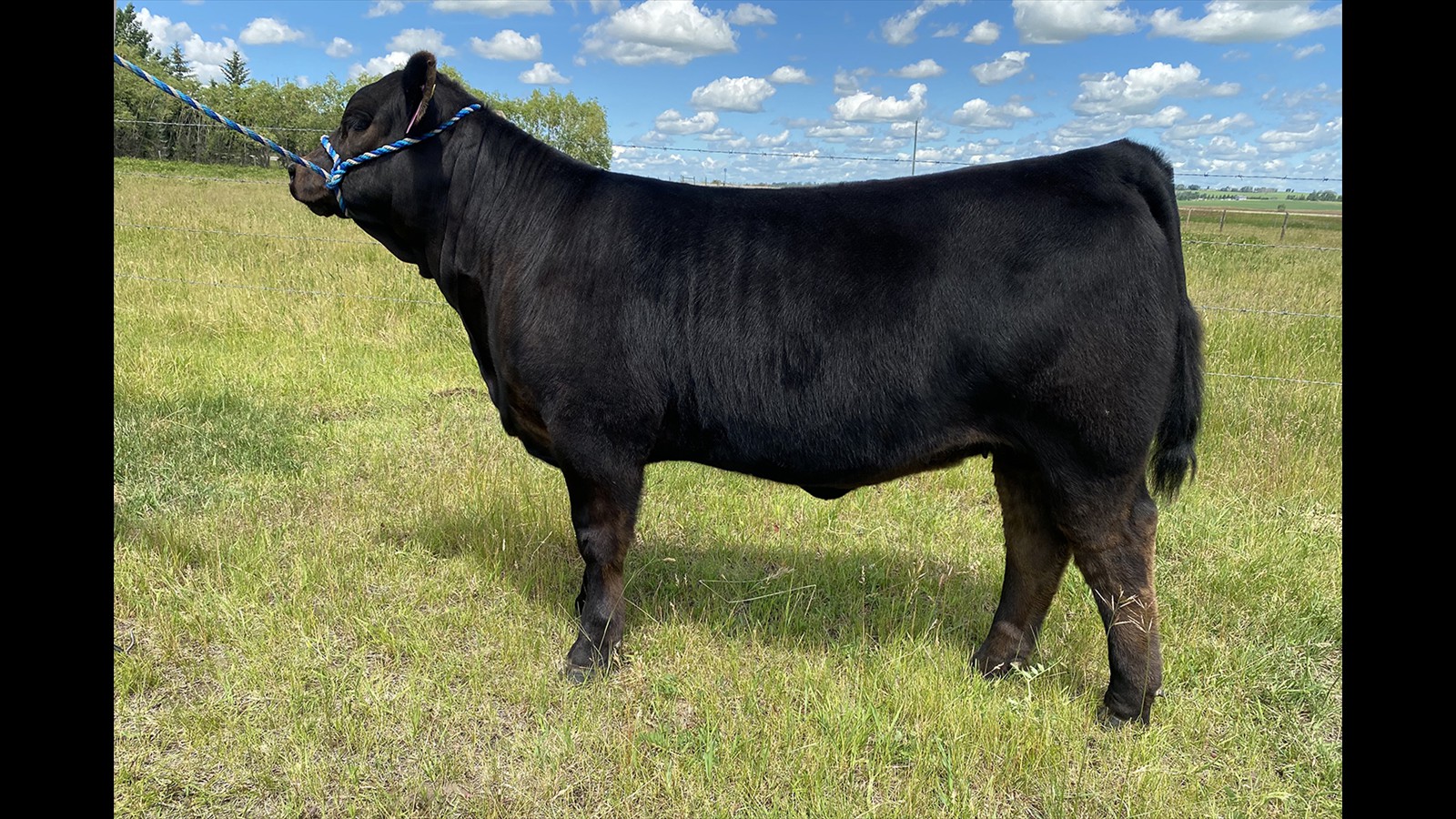 12A - Jacey Massey - PB HF