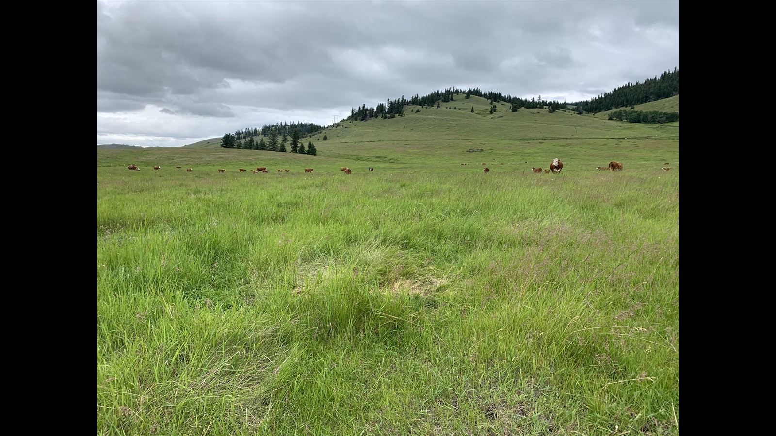 13-26 - William Dundass