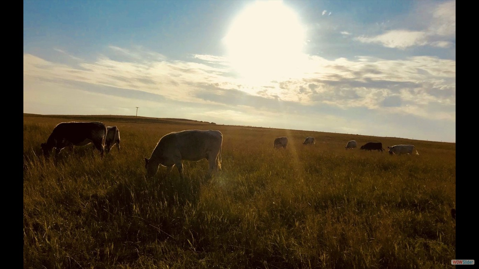 134 - Amy Fradette - JR