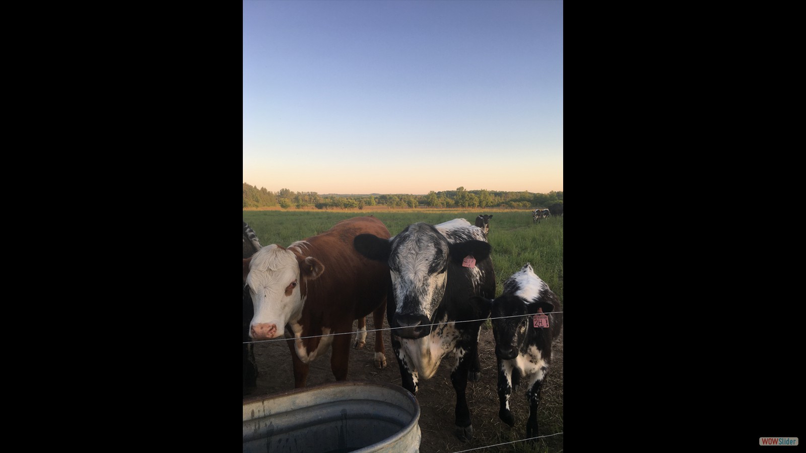 137 - Emma Allen - JR