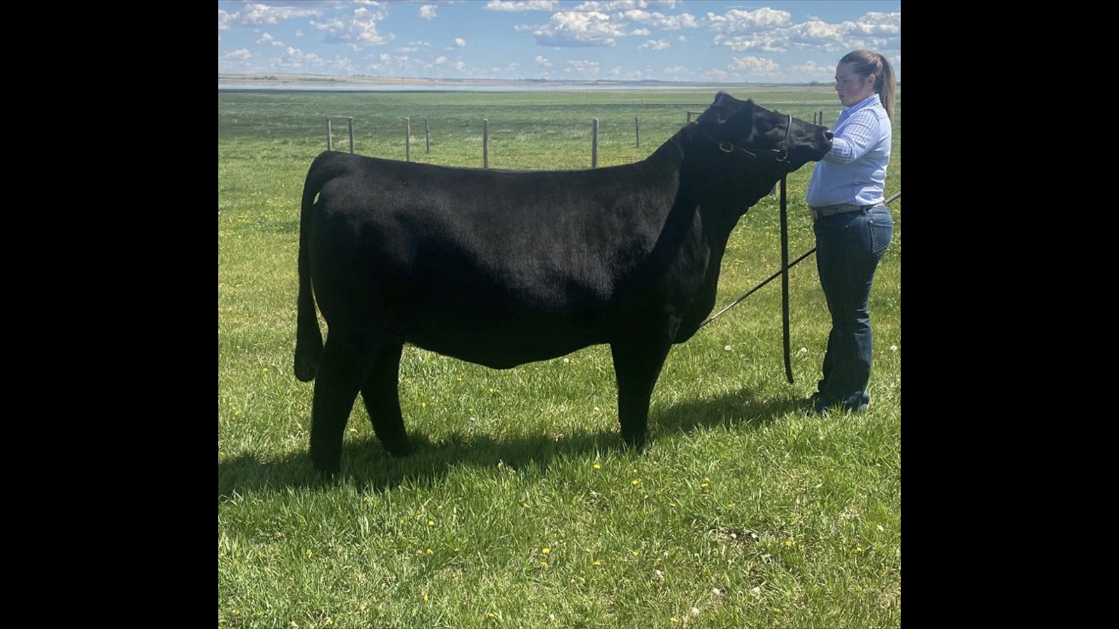 13E - Jacey Massey - PB Yrl