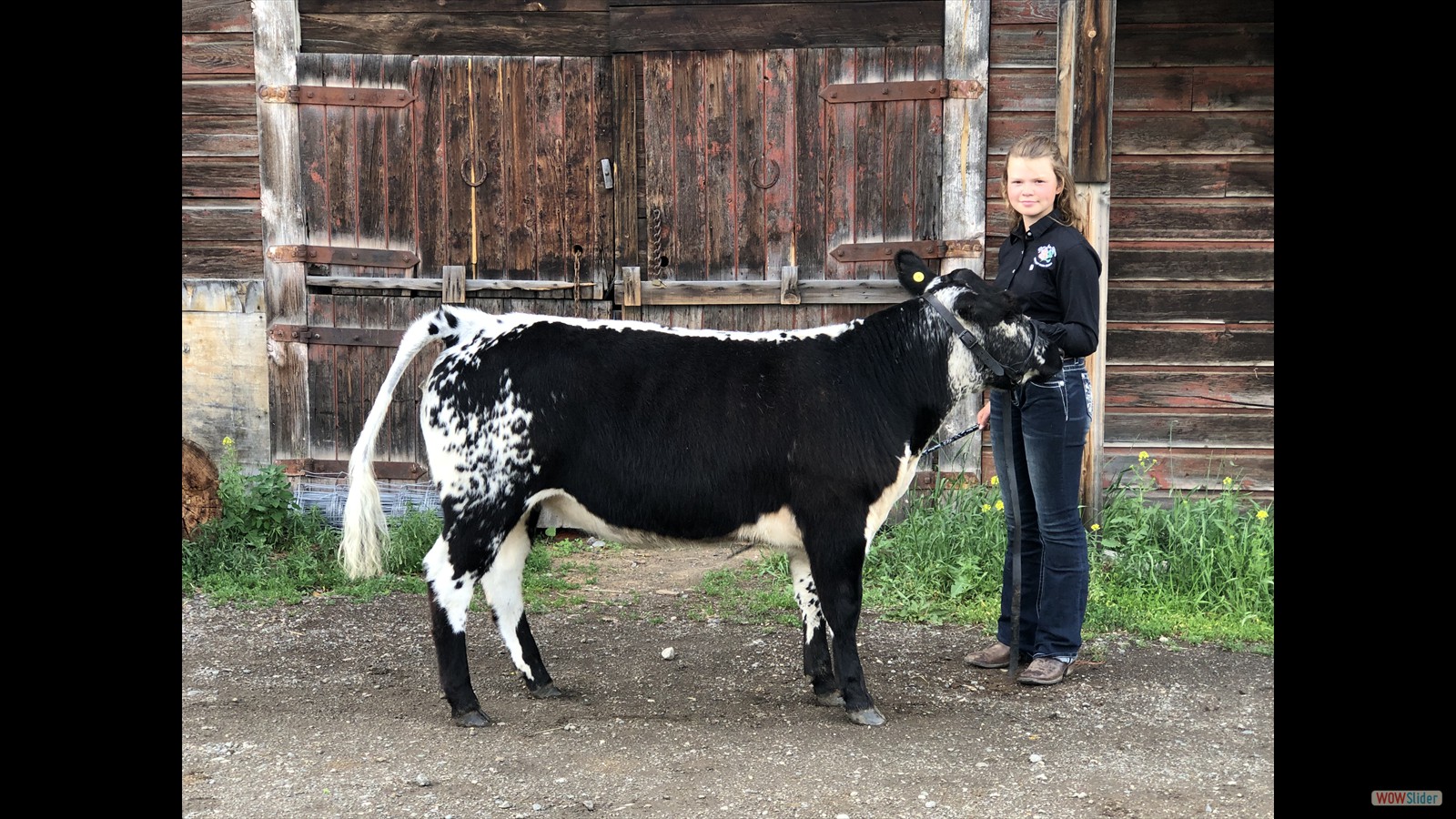 146 - Lucia Johnston1