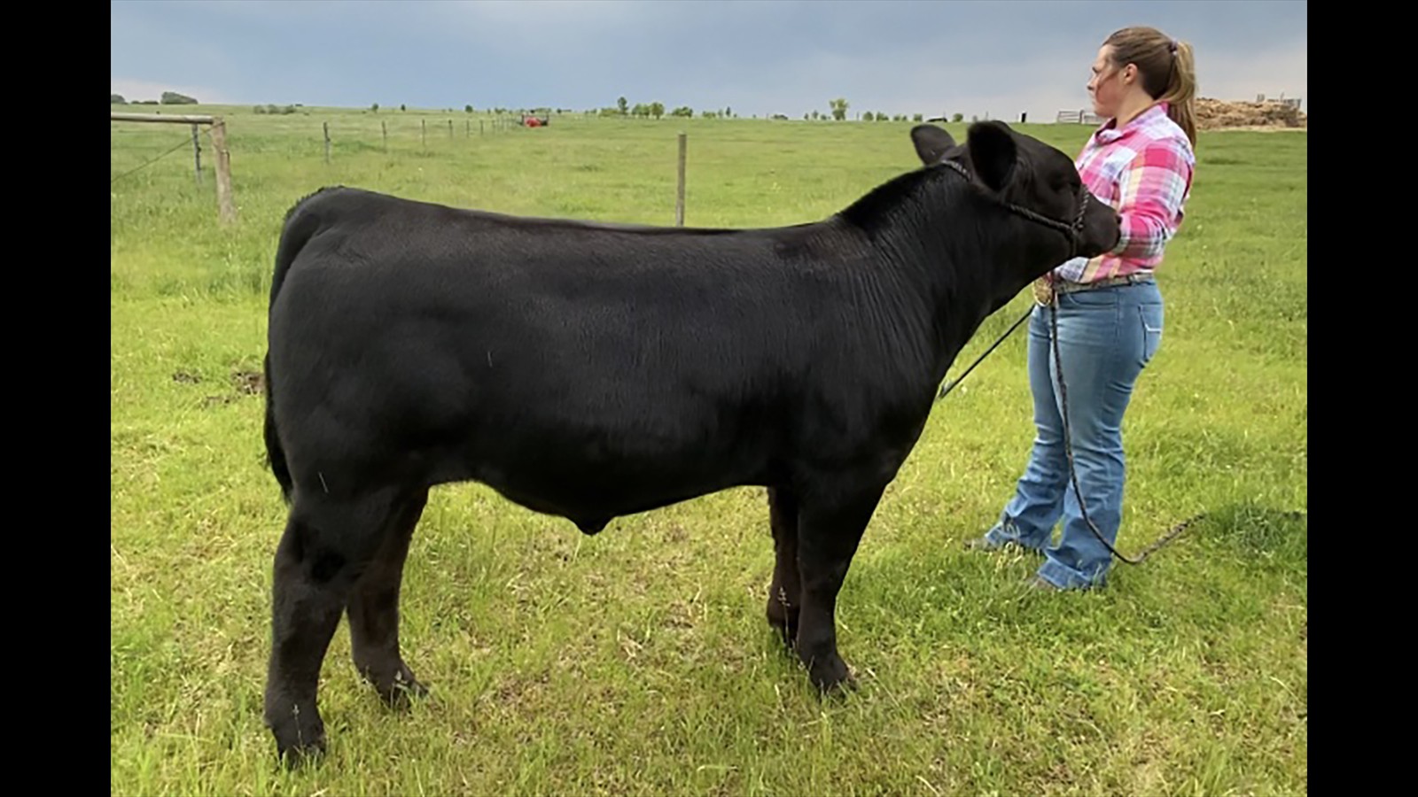 14C - Jacey Massey - PB Bull