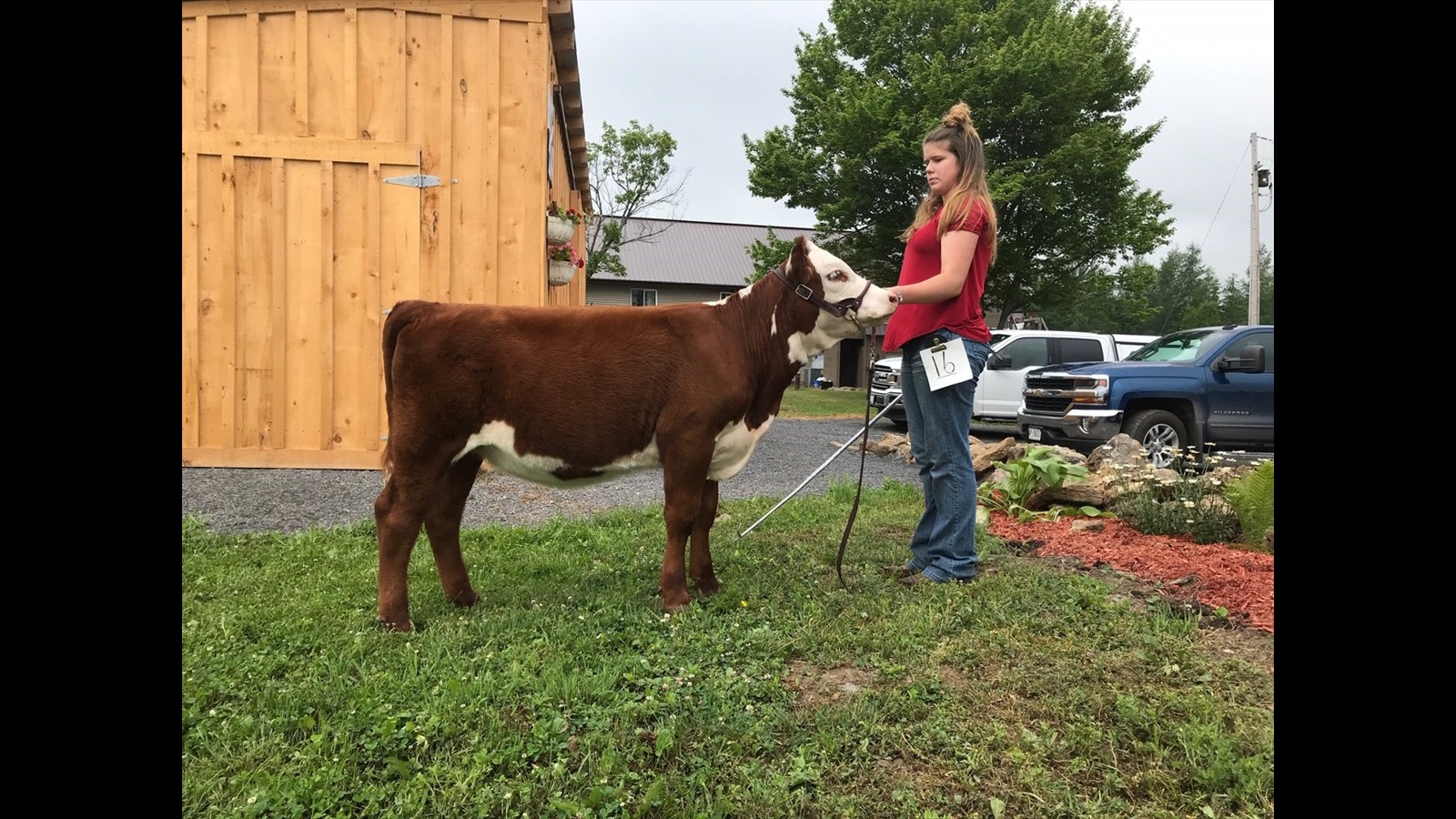 16-19-1-Rebecca Hess