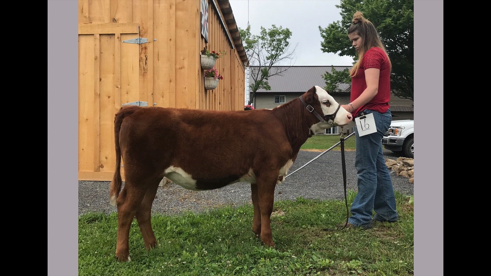 16-20-1 (4)-Rebecca Hess