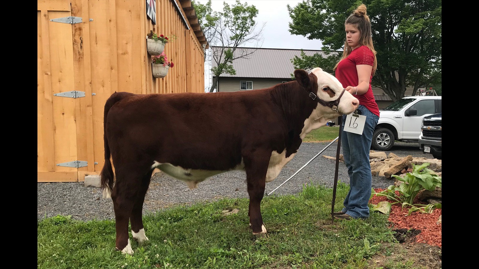 16-21-10-Rebecca Hess