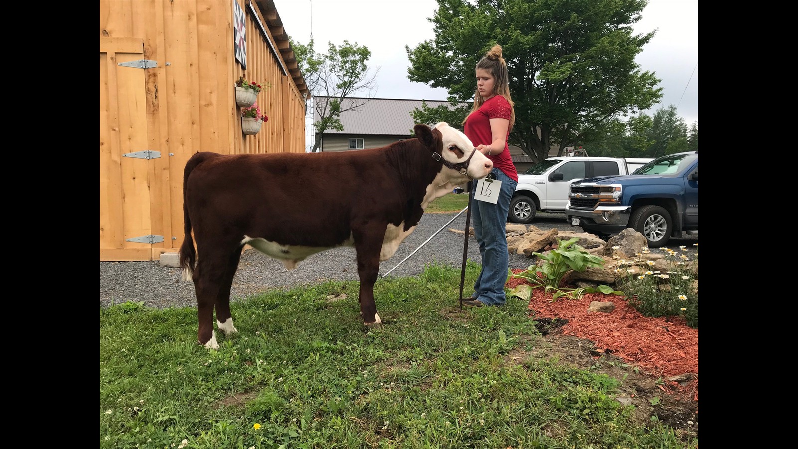 16-21-4-Rebecca Hess