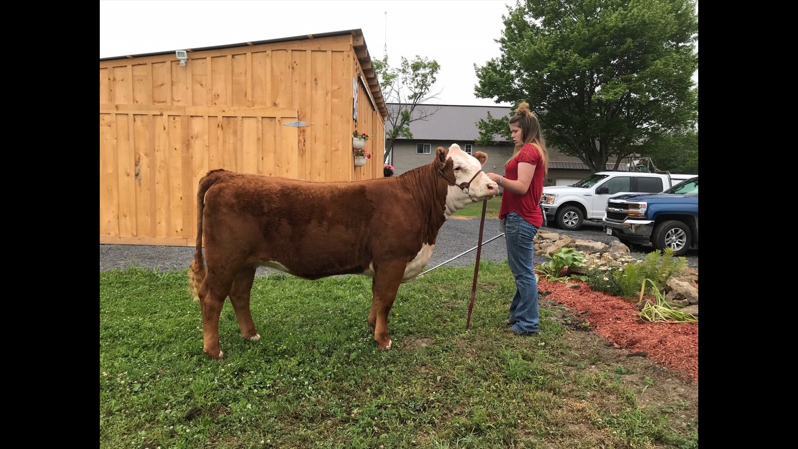 16-22-20-Rebecca Hess