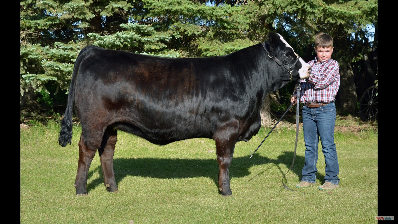 162B - Ryder Beutler