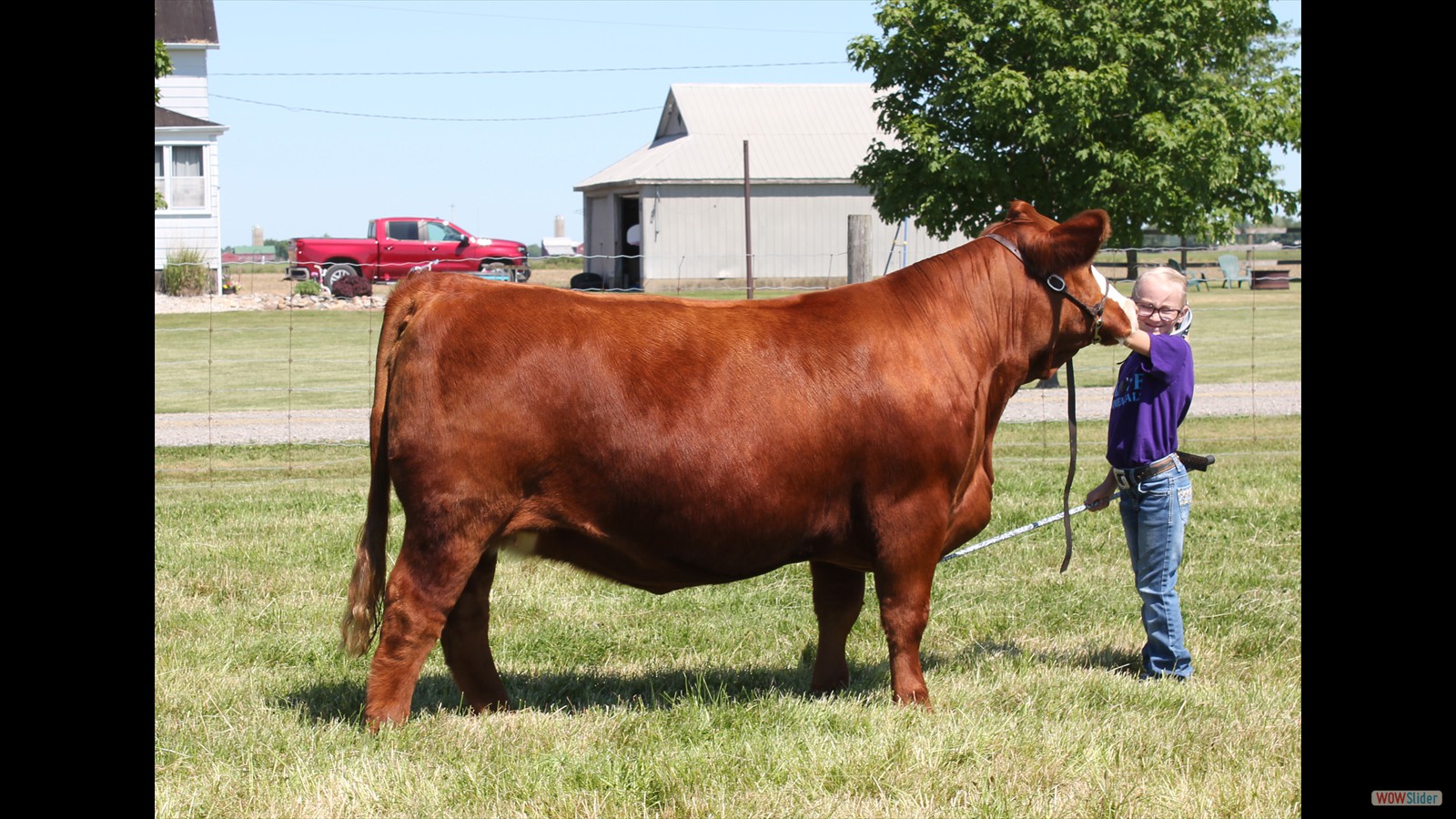 166B - Shelby Crawford