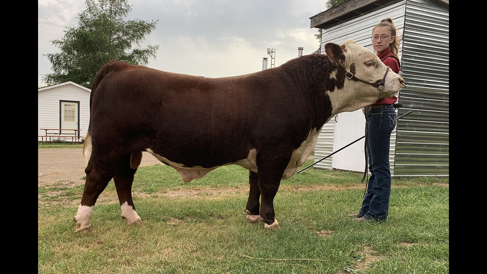 17-24-5-Kaylee Wells