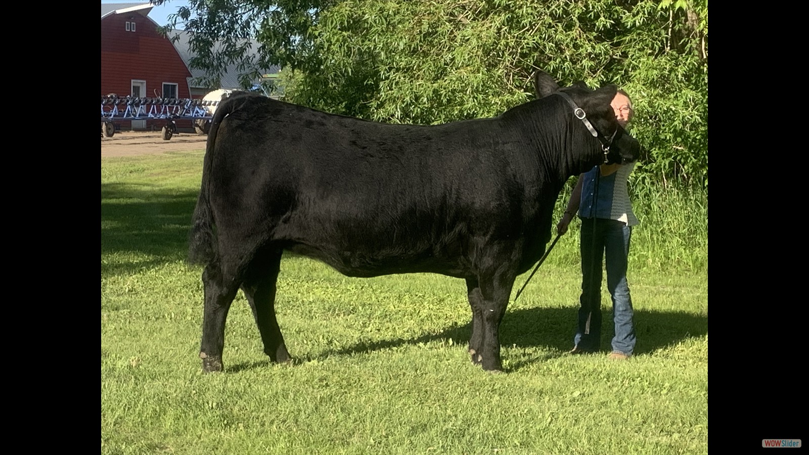 173I - Dayna Ruzicka