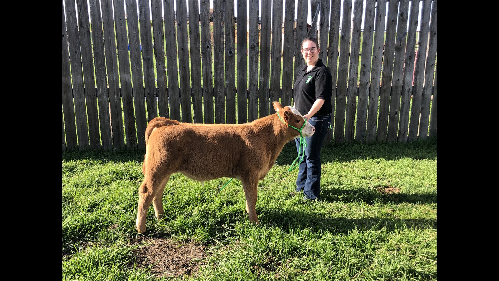 17H - Kaylie Krys - 2YO CM - Calf