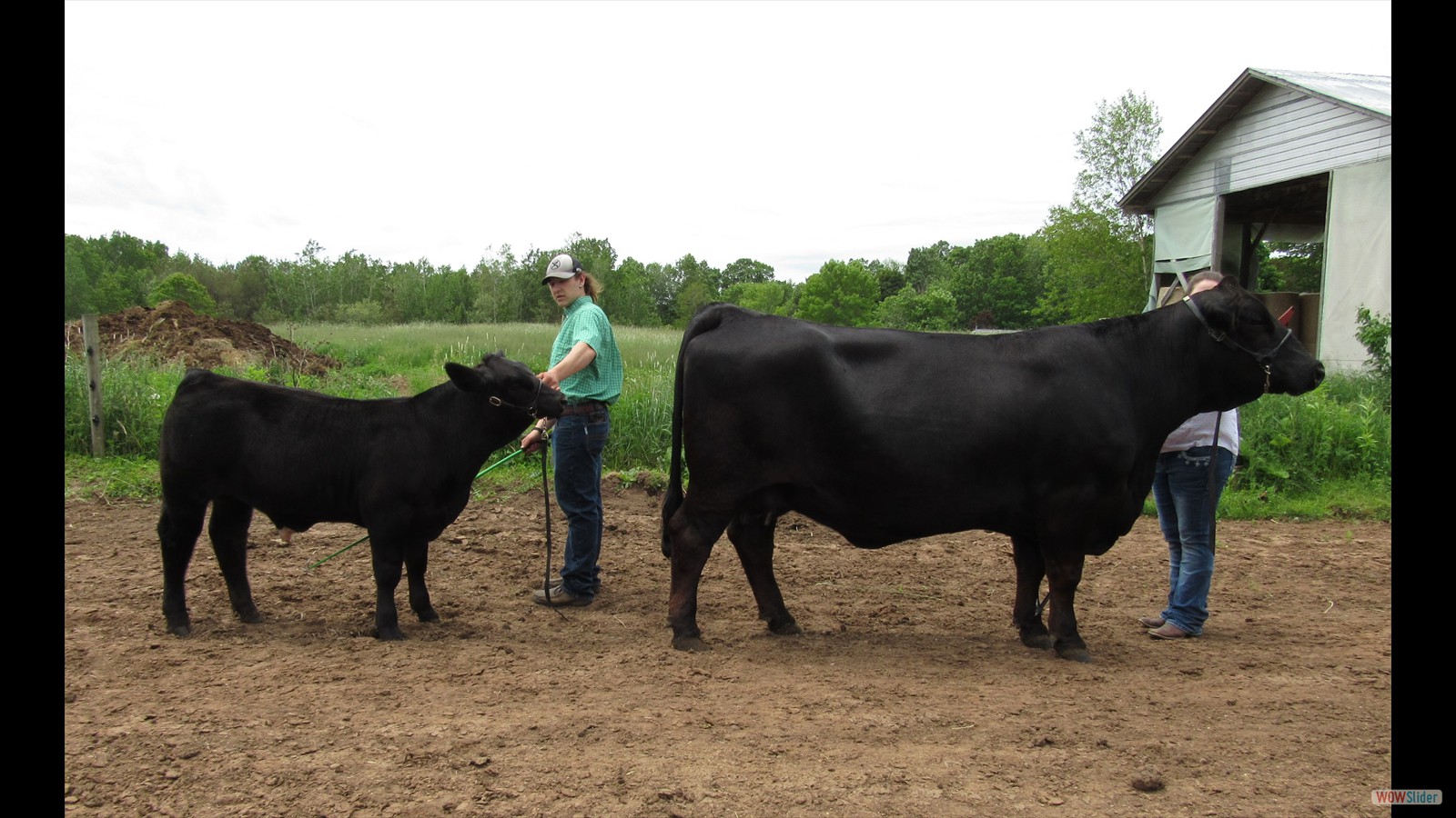 183D - Melanie DeLong