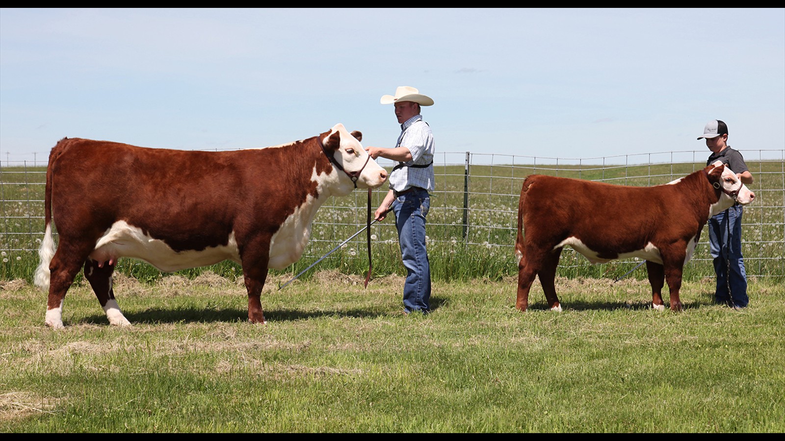 21-28-3-Zachary Latimer