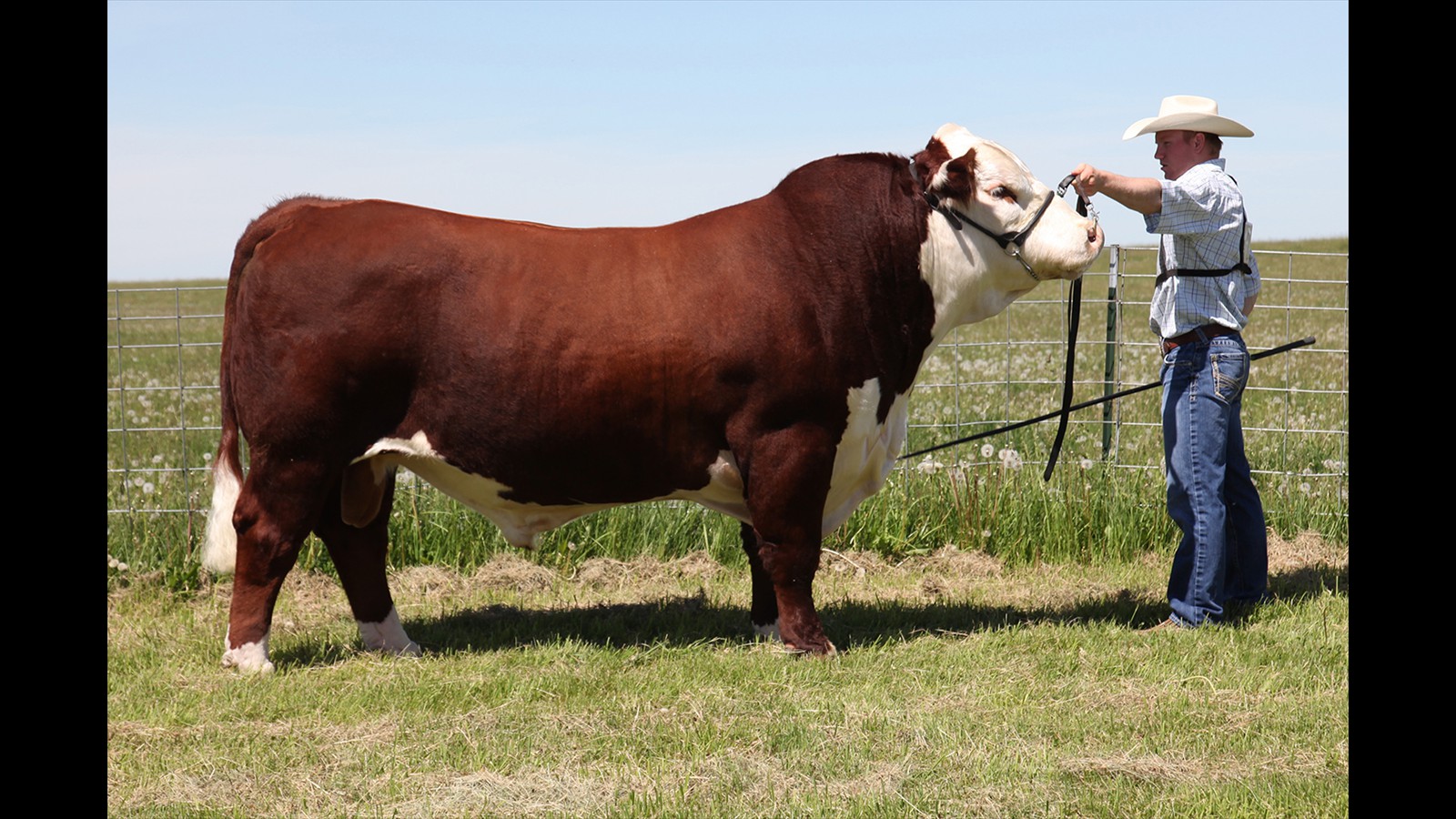 21-29-6-Zachary Latimer