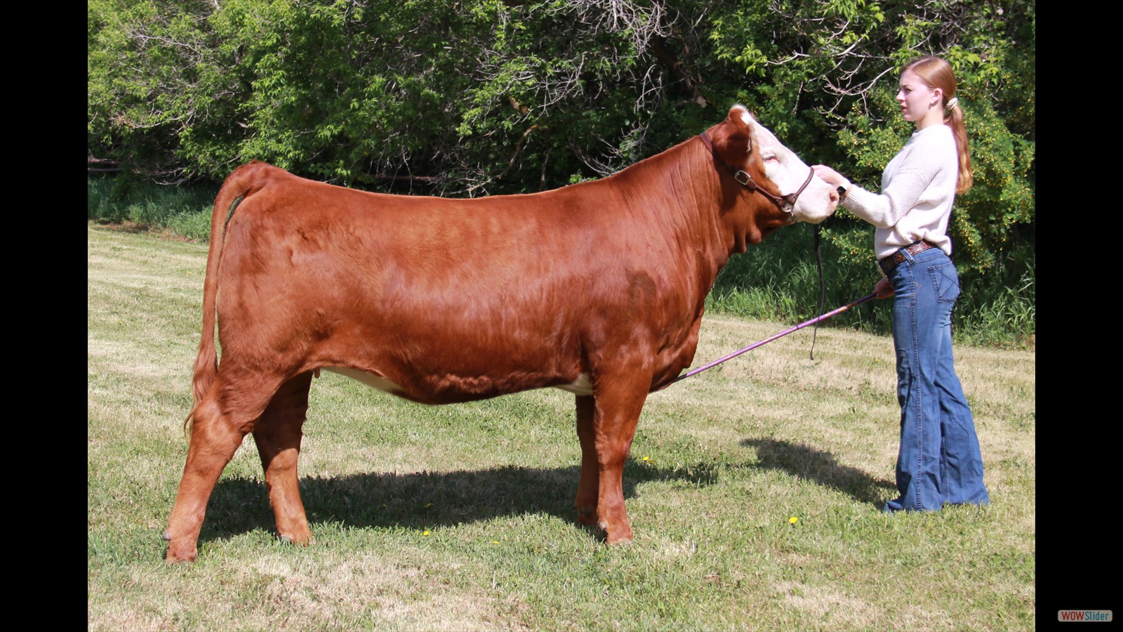 220B - Bailey McCormack