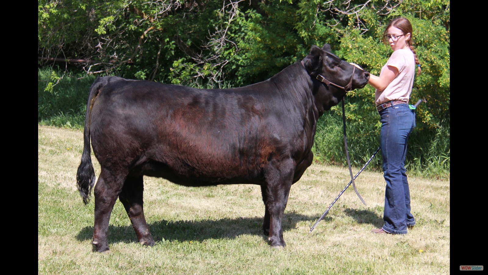 221B - Sydney McCormack