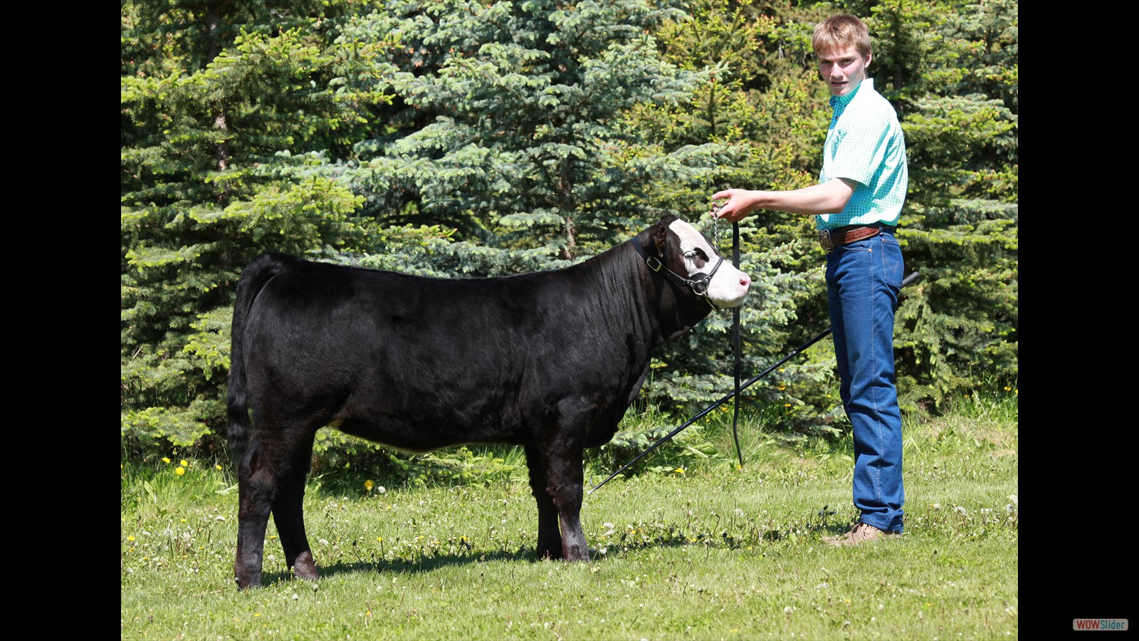 226A - Wyatt Cuthbertson