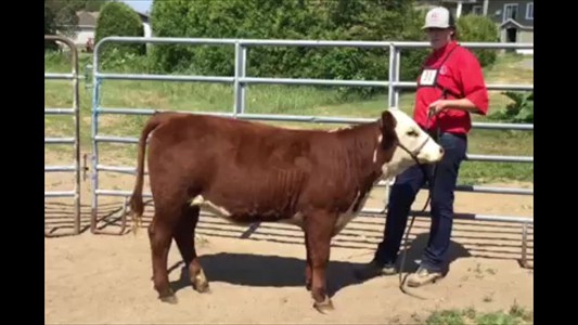 23-31-1D-Francis Beaumont