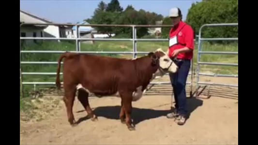 23-32-7A-Francis  Beaumont