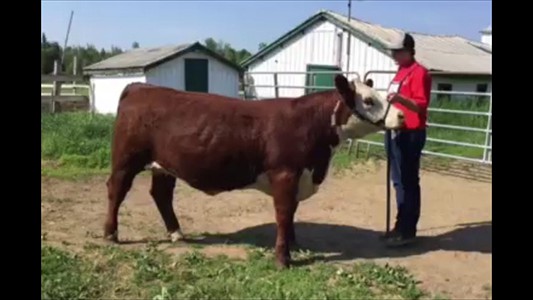 23-34-2H-Francis Beaumont