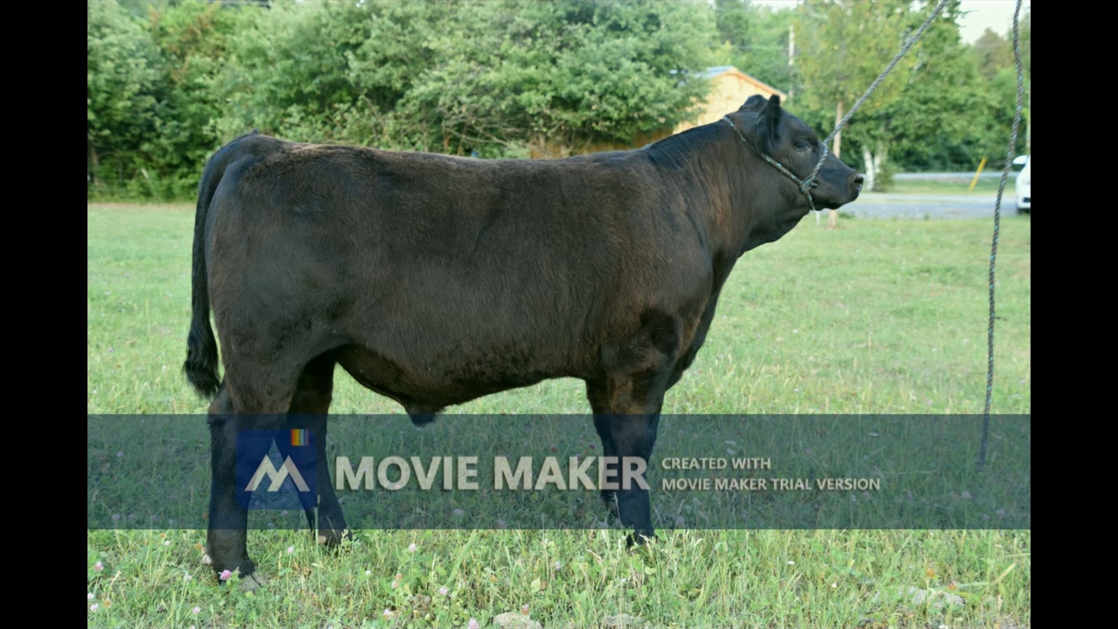 246H - Cassidy Pinkham0