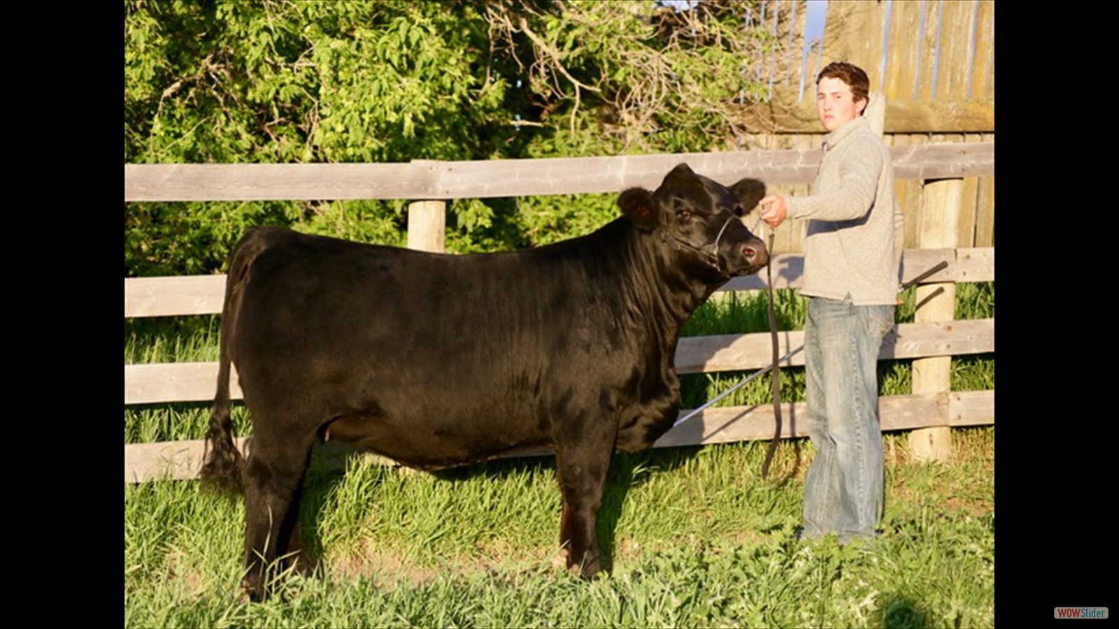 250B - Brodyn LaBatte