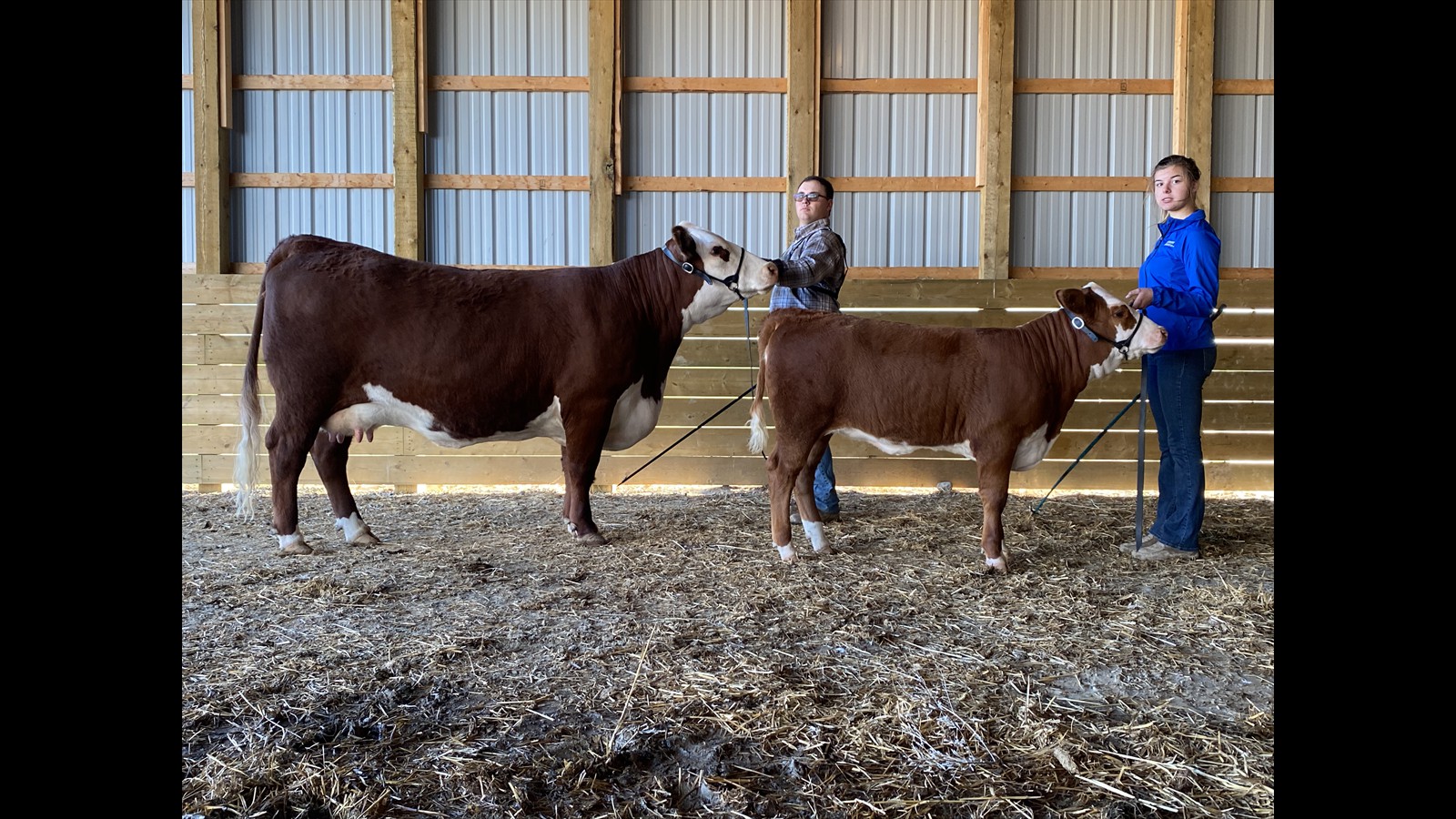 25-37-3-Jay Morgan Millham