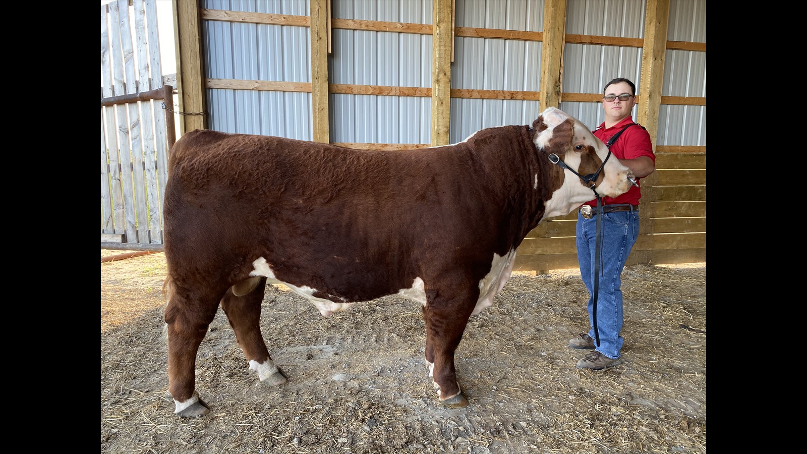 25-39-5-Jay Morgan Millham