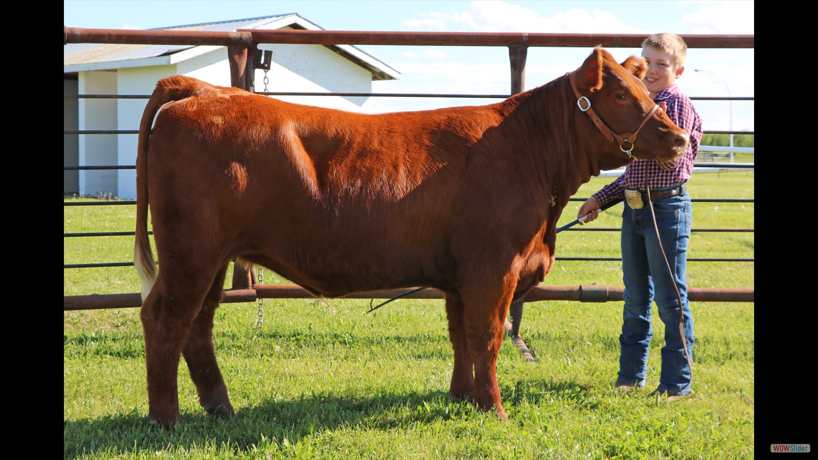 257B - Tayden French