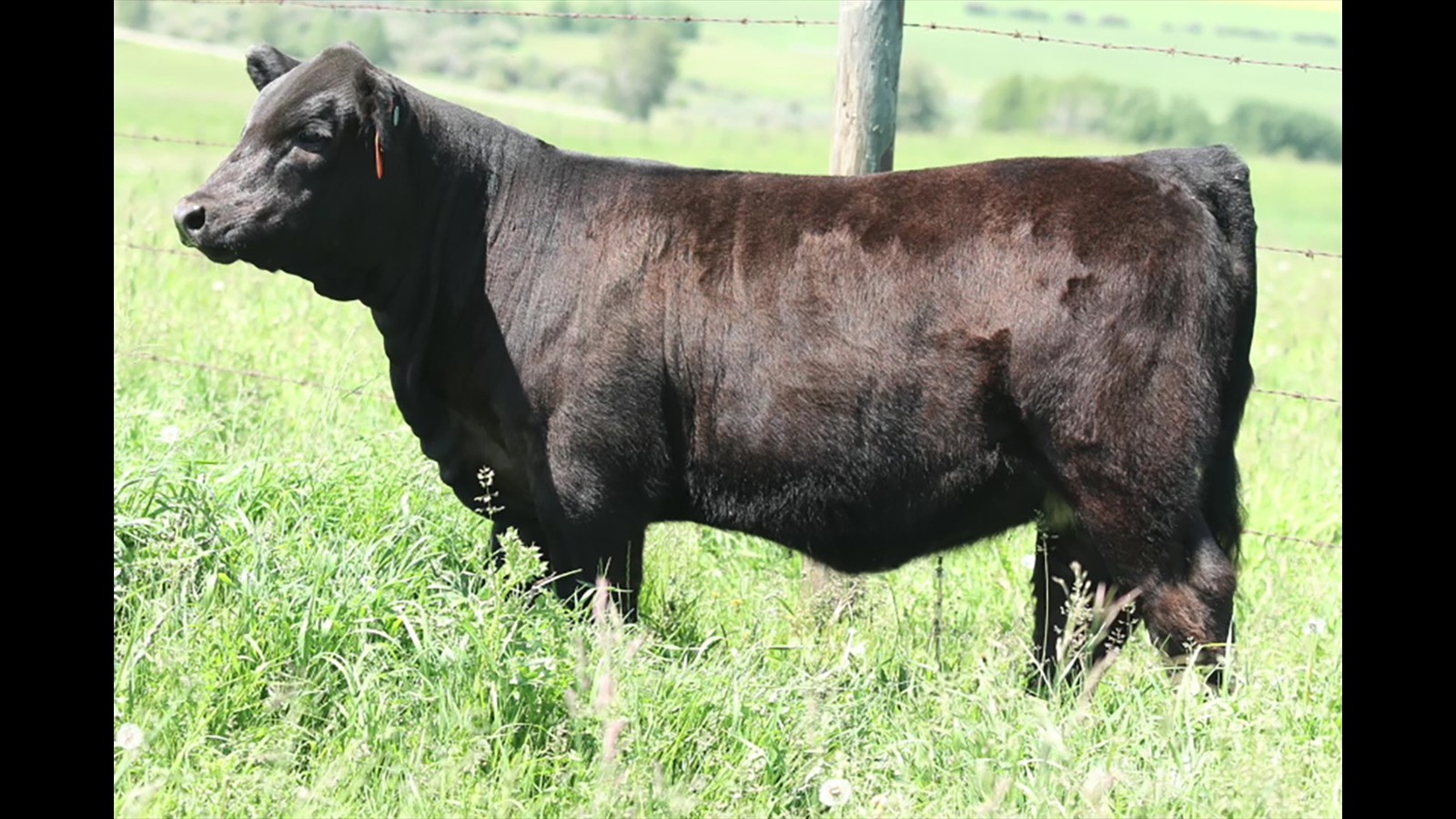 25A - Hawkin Mader - PB HF