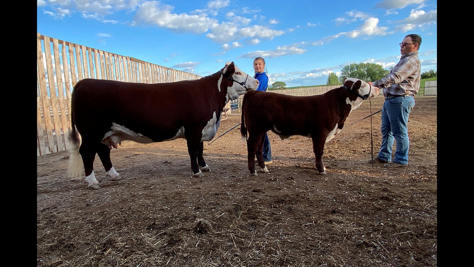 26-40-9-Sydney Perlinger2