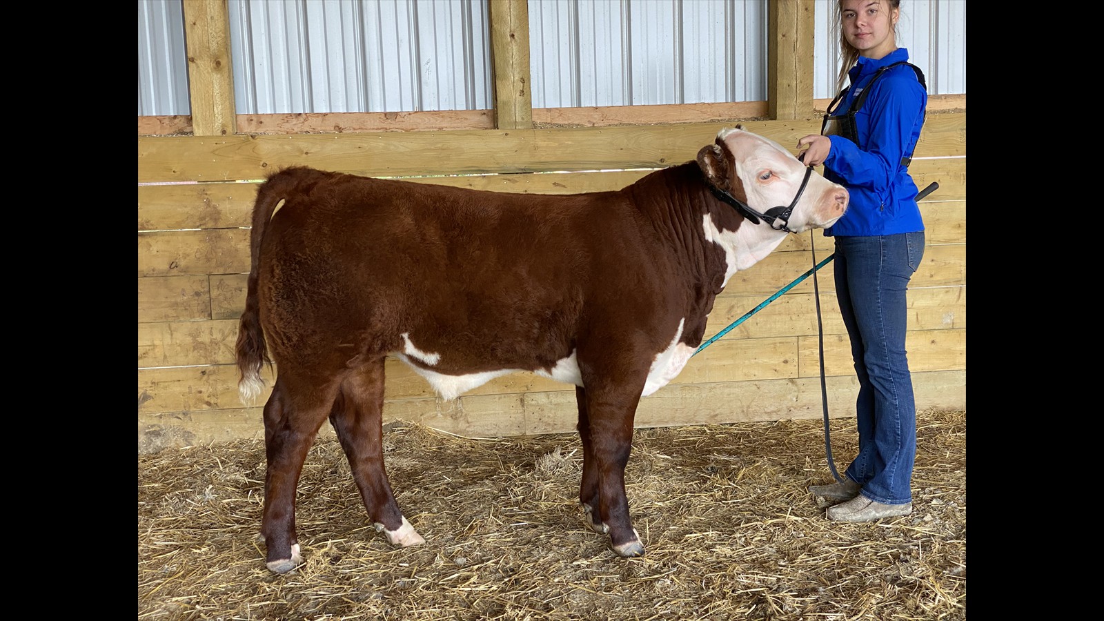 26-41-10-Sydney Perlinger