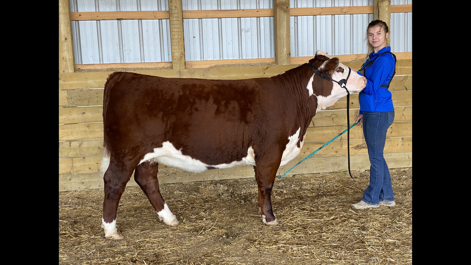 26-42-2-Sydney Perlinger