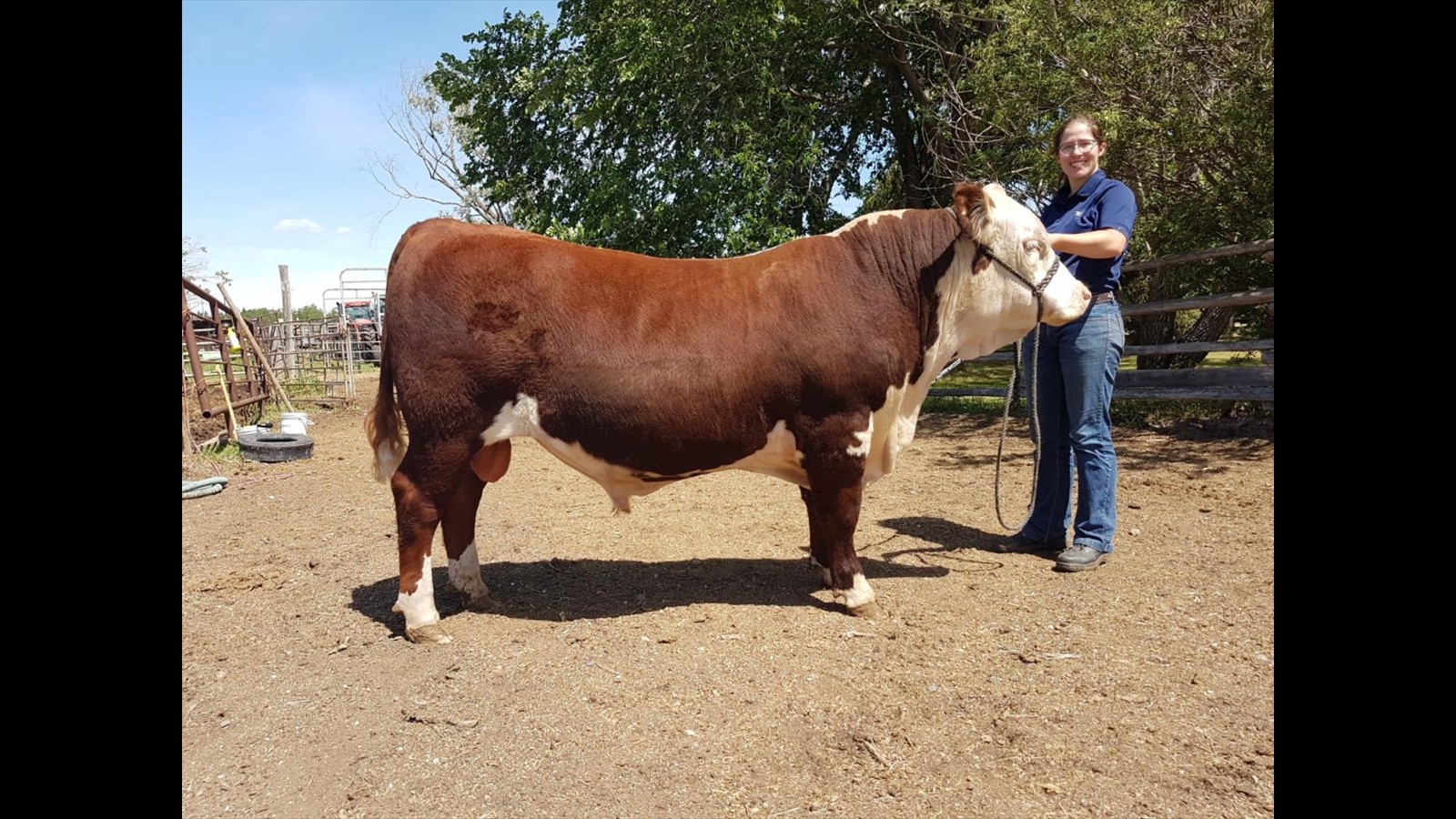 27-45-11-Jillian Just