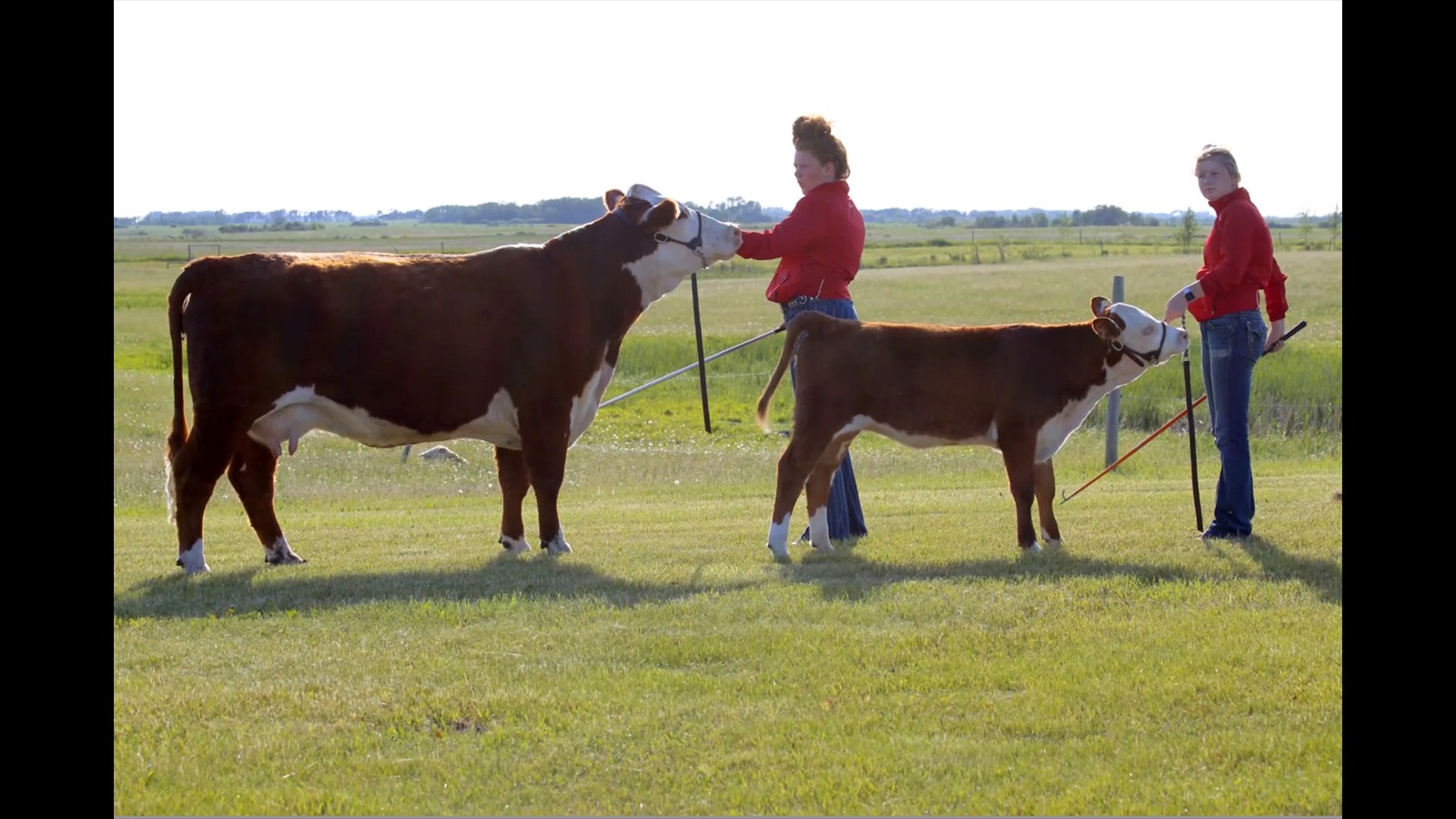 30-58-15-Teegan Hyndman